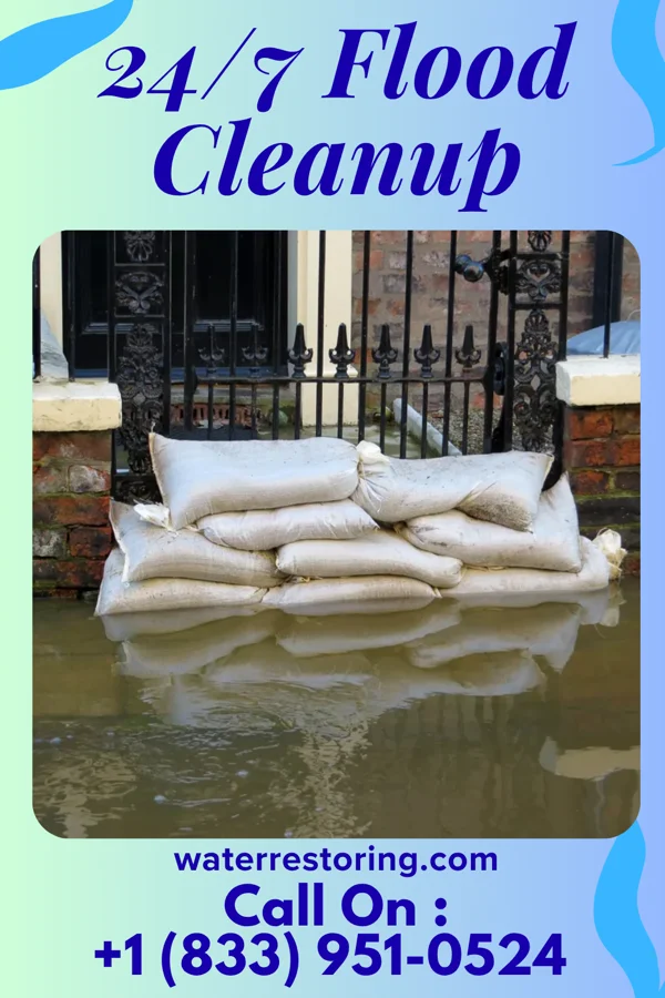24/7 Flood Cleanup in Dundee, IA