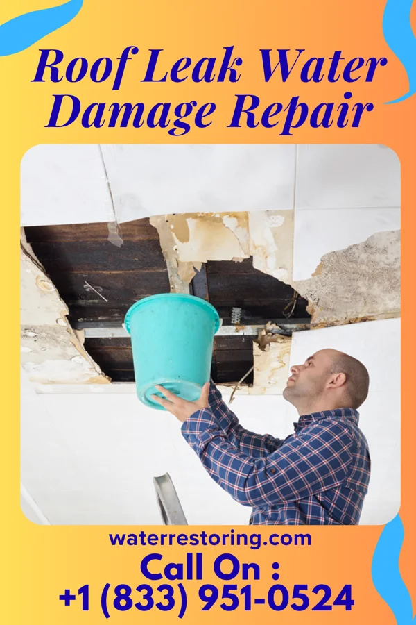 Roof Leak Water Damage Repair in Dundee, IA